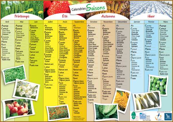 Calendrier des saisons: quels fruits/ légumes manger?